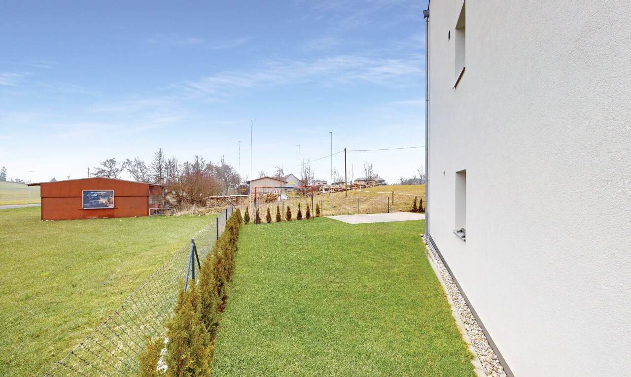 jardin avec clôture et pelouse