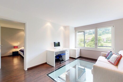 salon avec sol en finition bois, wood finish floor, inside property, cloison sèche, et drywall