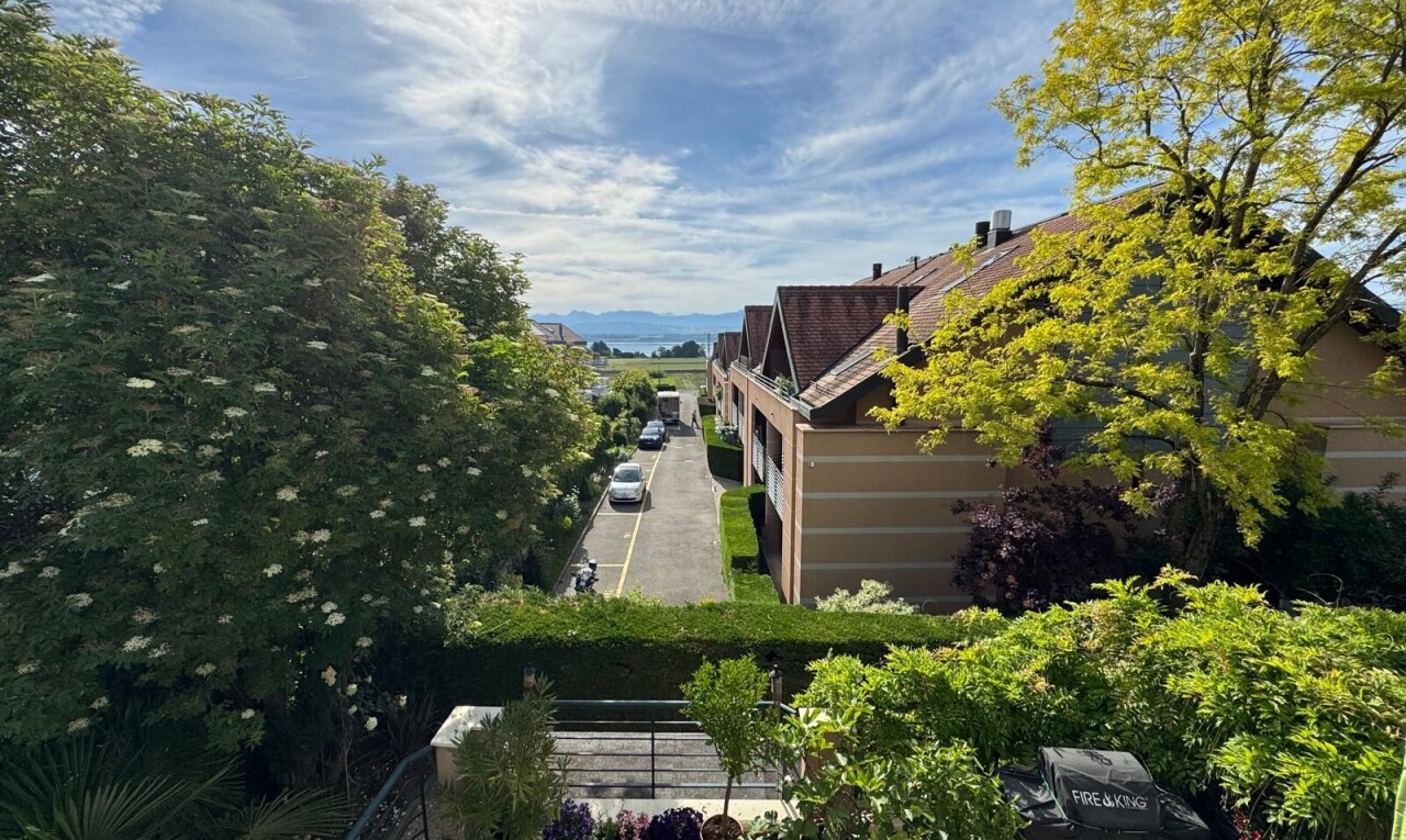garten mit day time
