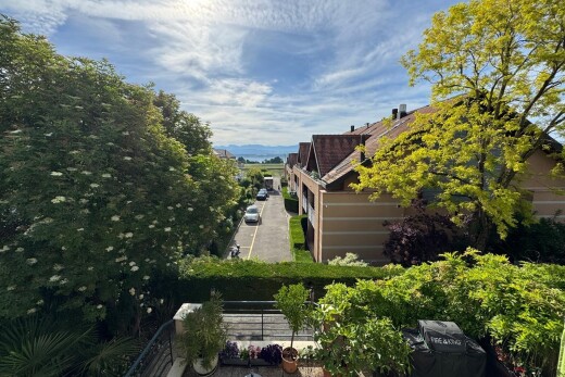 jardin avec day time