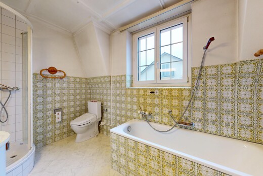 bad mit dusche, komplettes badezimmer, toilette, natürliches licht, und natural light