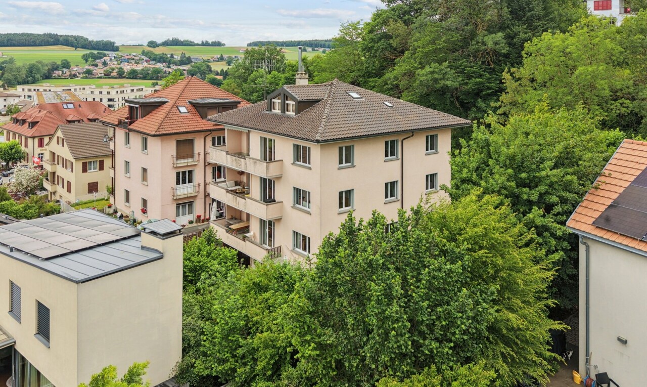 façade avec bardage en stuc, cheminée, et drone view