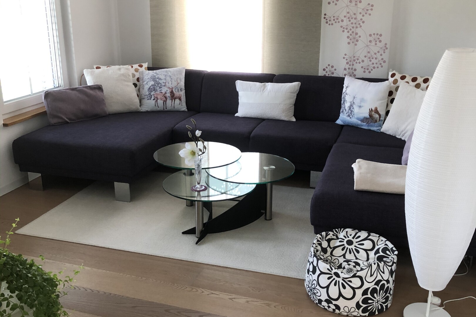salon avec wood finish floor, sol en finition bois, drywall, et cloison sèche