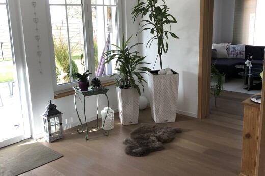 salon avec drywall, cloison sèche, wood finish floor, sol en finition bois, et inside property