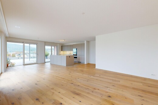 leerer raum mit natürliches licht, natural light, gipskartonwand, drywall, und holzfußboden