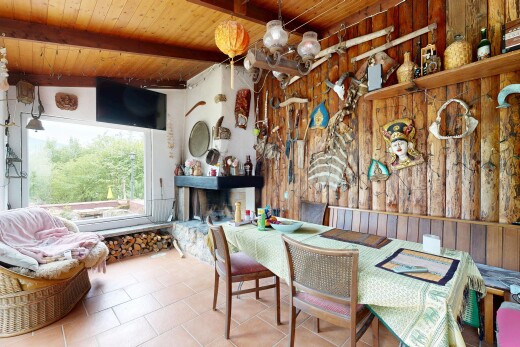 salle à manger avec lumière naturelle, natural light, télévision, inside property, et cheminée