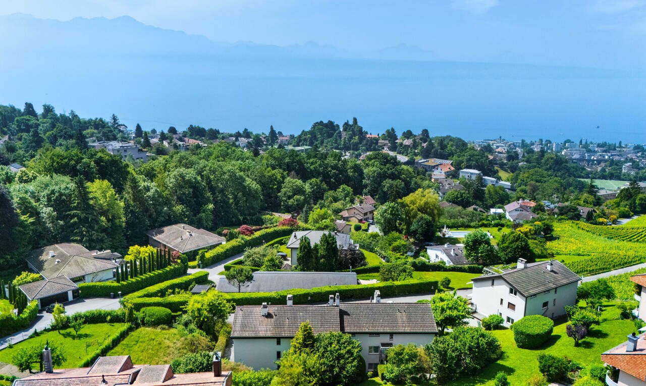 äußeresraum mit wohngebietblick, residential view, aerial view, und day time