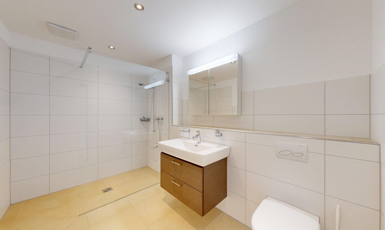 bad mit tile wall, fliesenwand, komplettes badezimmer, dusche, und schminktisch