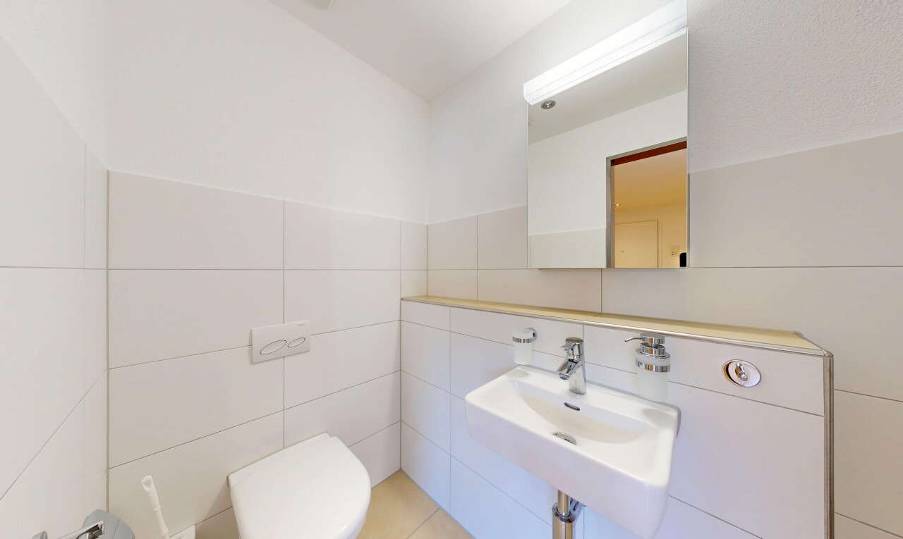 bad mit spiegel, inside property, waschbecken, gäste-wc, und fliesenwand