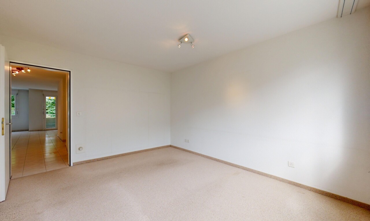 leerer raum mit teppich, carpet, natürliches licht, natural light, und gipskartonwand