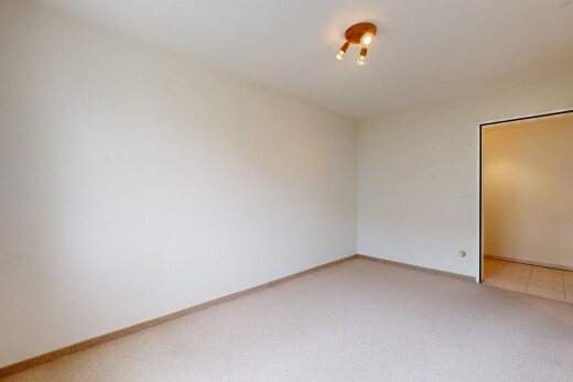 leerer raum mit teppich, carpet, gipskartonwand, drywall, und inside property