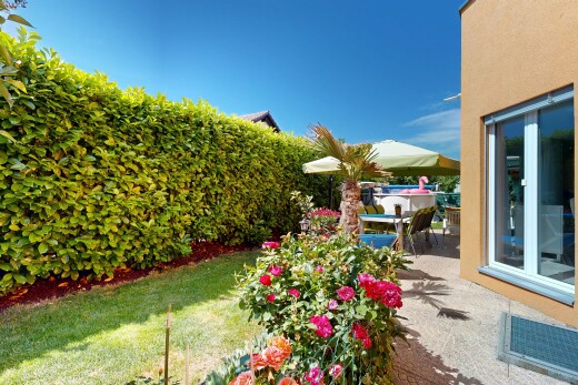 jardin avec from property, terrasse, et day time