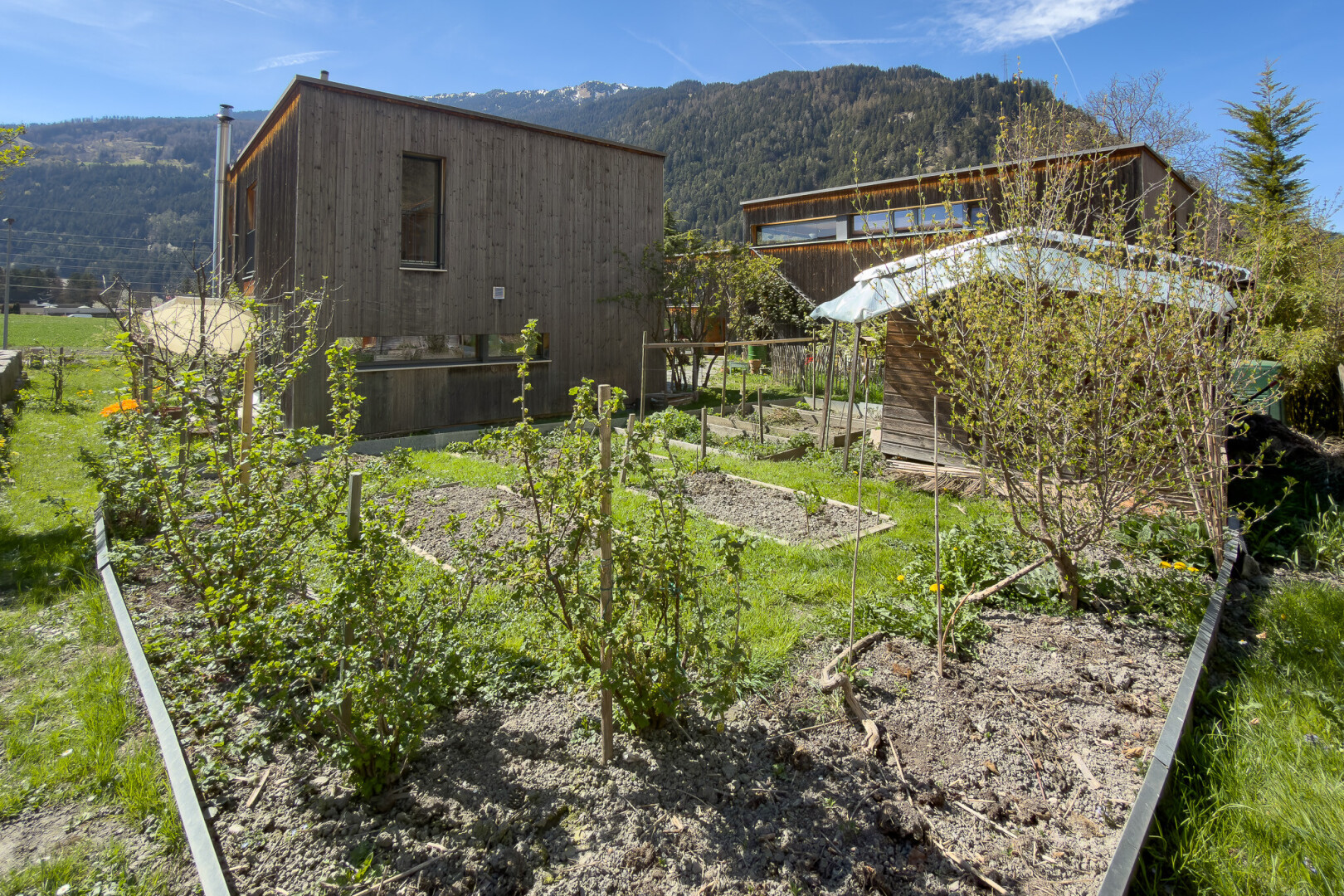 vue sur la montagne avec mountain view, vue sur la montagne, et day time