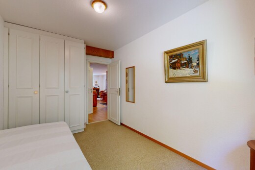 chambre avec cloison sèche, drywall, placard, moquette, et carpet