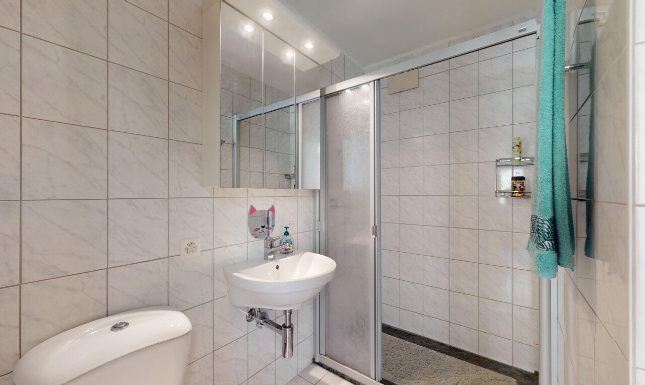 salle de bains avec douche, mur carrelé, miroir, et toilettes