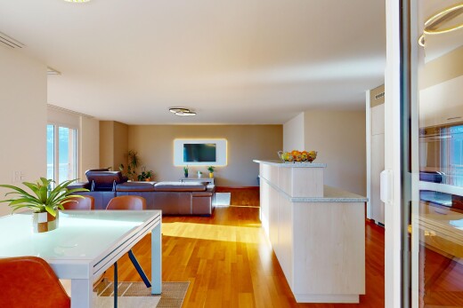 salon / salle à manger avec plancher de bois, télévision, ventilation, et lumière naturelle