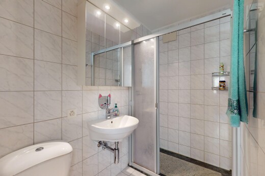 salle de bains avec douche, mur carrelé, miroir, et toilettes