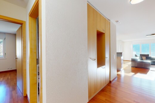 couloir avec lumière naturelle et plancher de bois