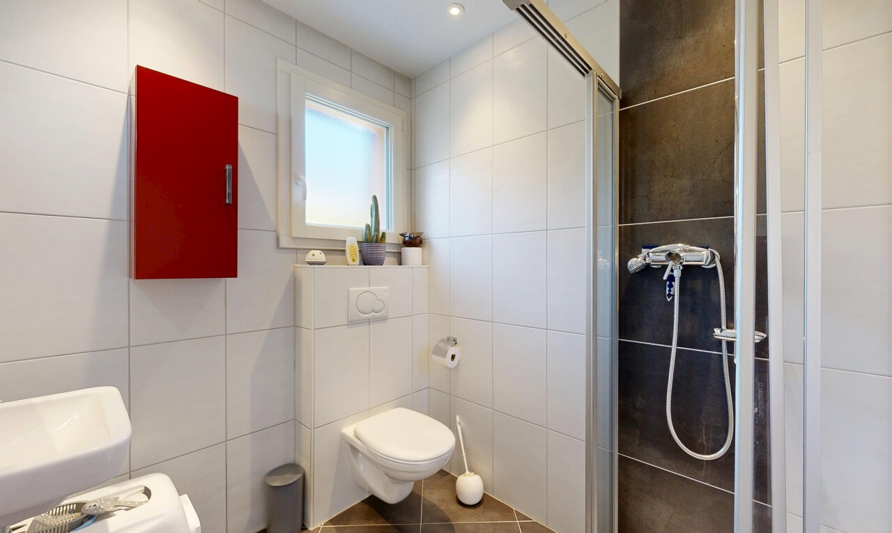 salle de bains avec douche, salle de bain complète, mur en carrelage, tile wall, et lumière naturelle