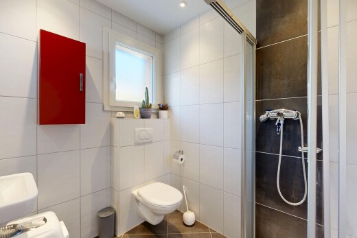 salle de bains avec douche, salle de bain complète, mur en carrelage, tile wall, et lumière naturelle
