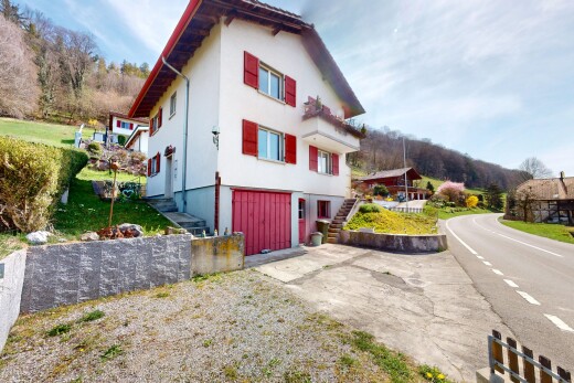 außenansicht mit treppen, auffahrt, eingebaute garage, kellergarage, und stuckverkleidung