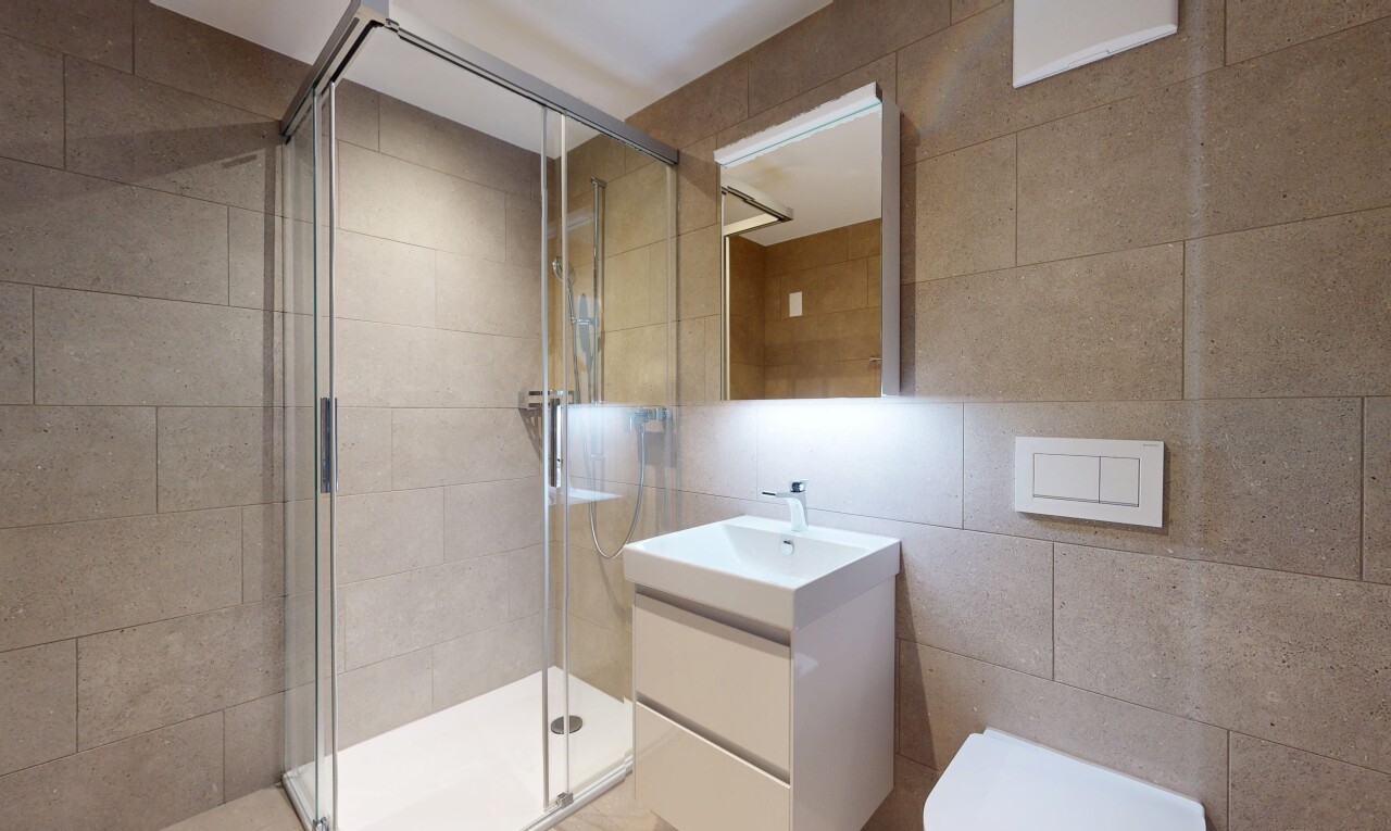 bad mit komplettes badezimmer, schminktisch, spiegel, dusche, und inside property