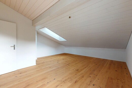 leerer raum mit dachschräge, vaulted ceiling, zusätzliches zimmer, dachfenster, und holzfußboden
