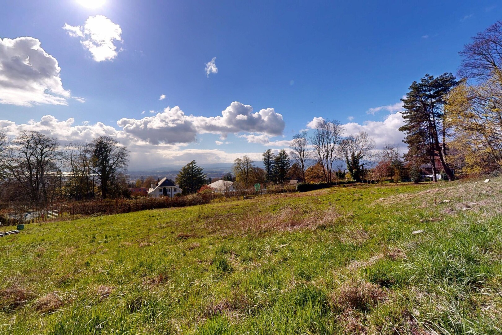 garden with a rural view