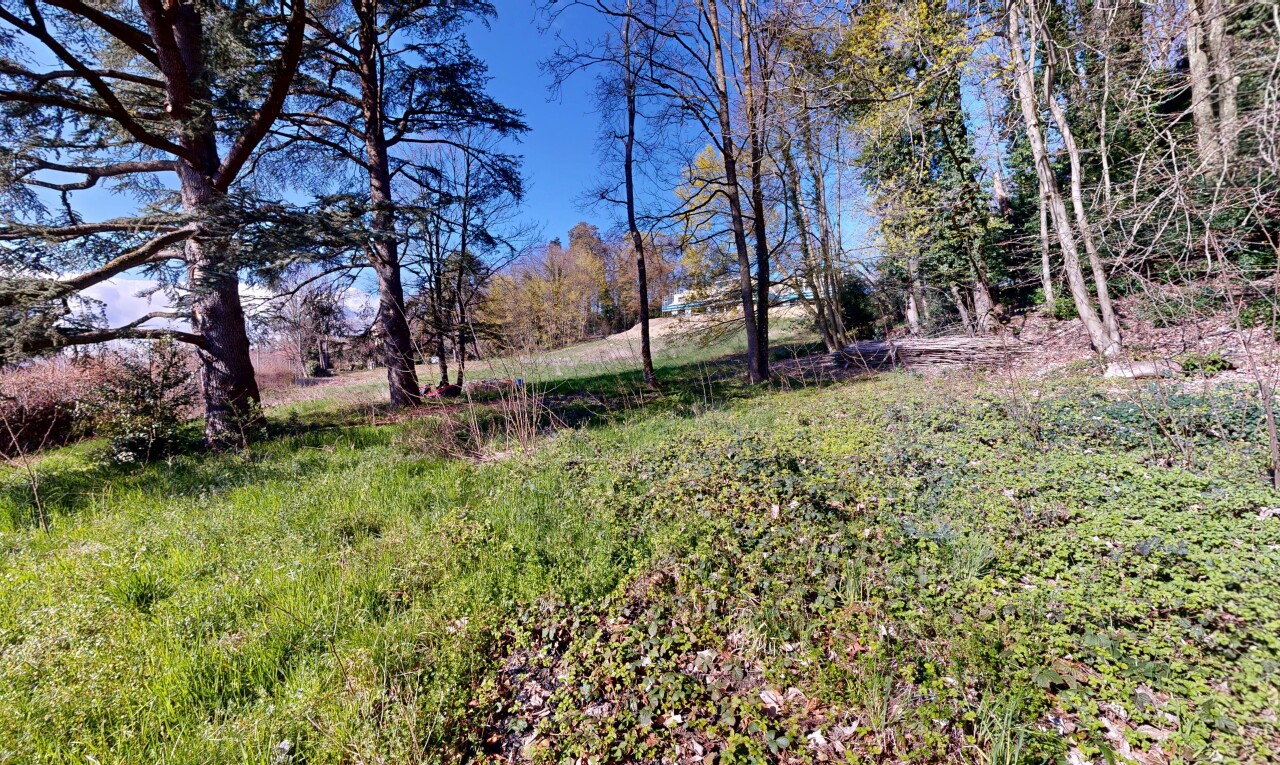 view of garden