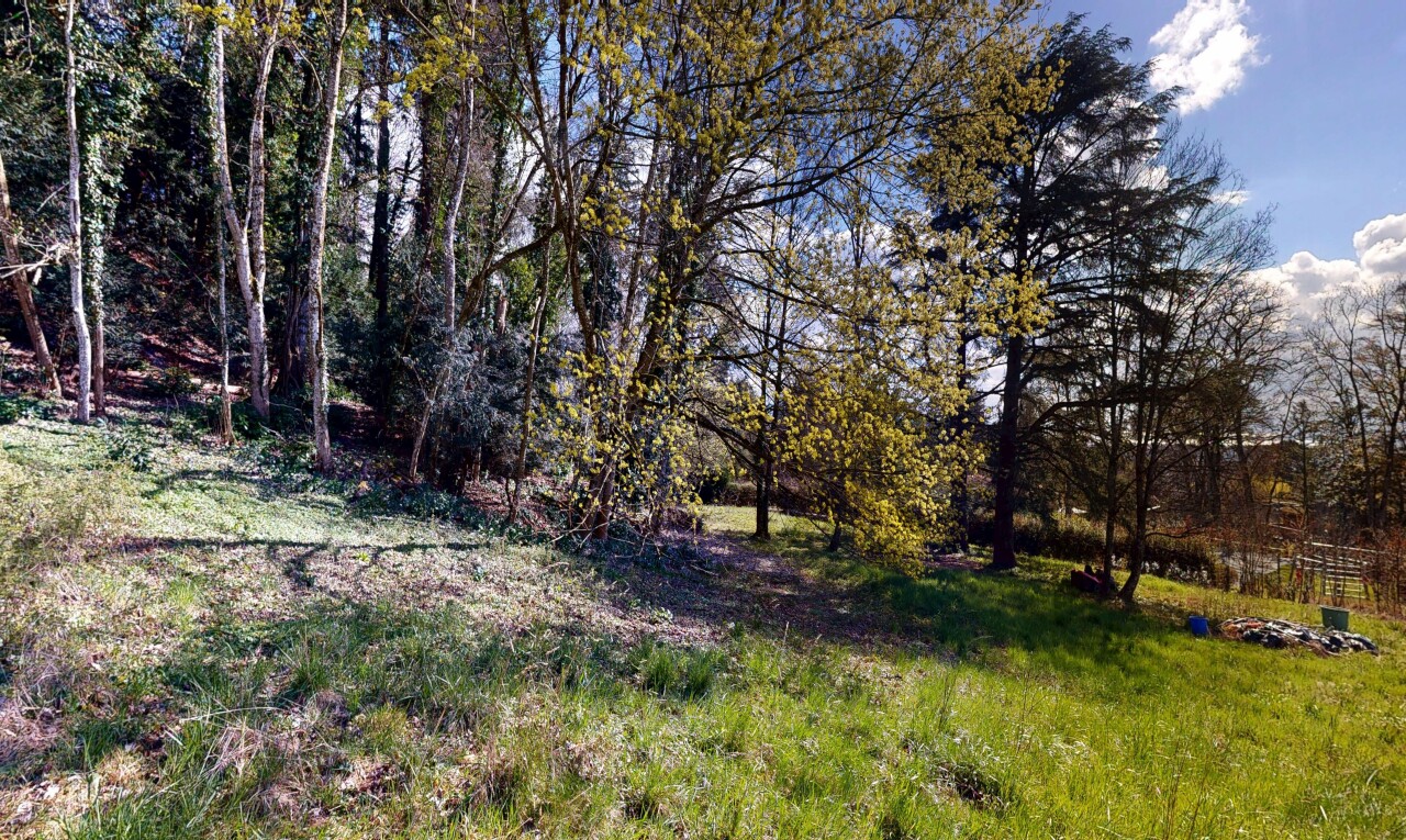 view of garden