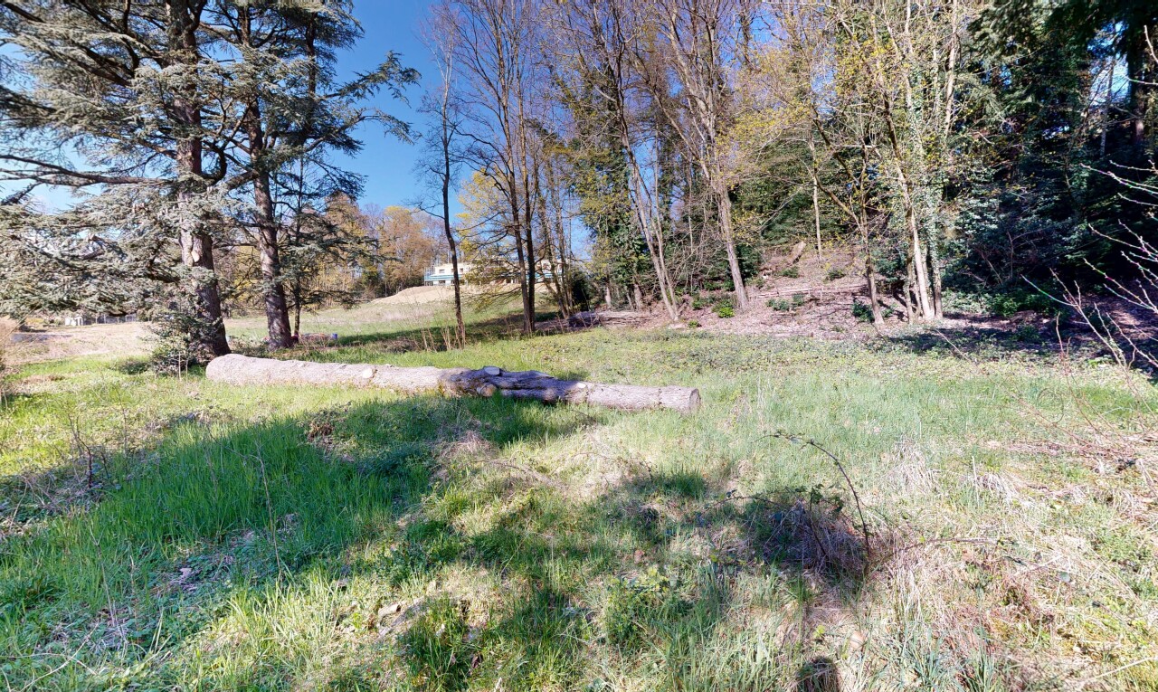 view of garden