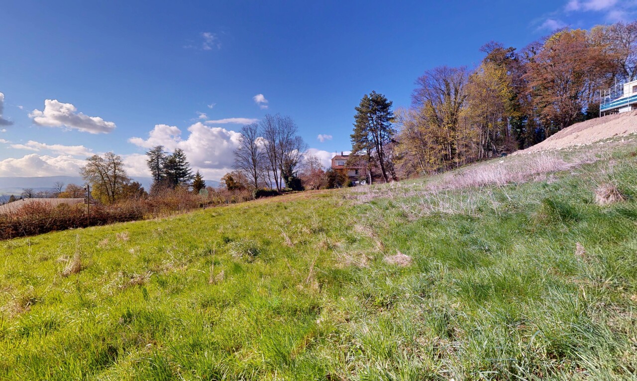 garden with a rural view