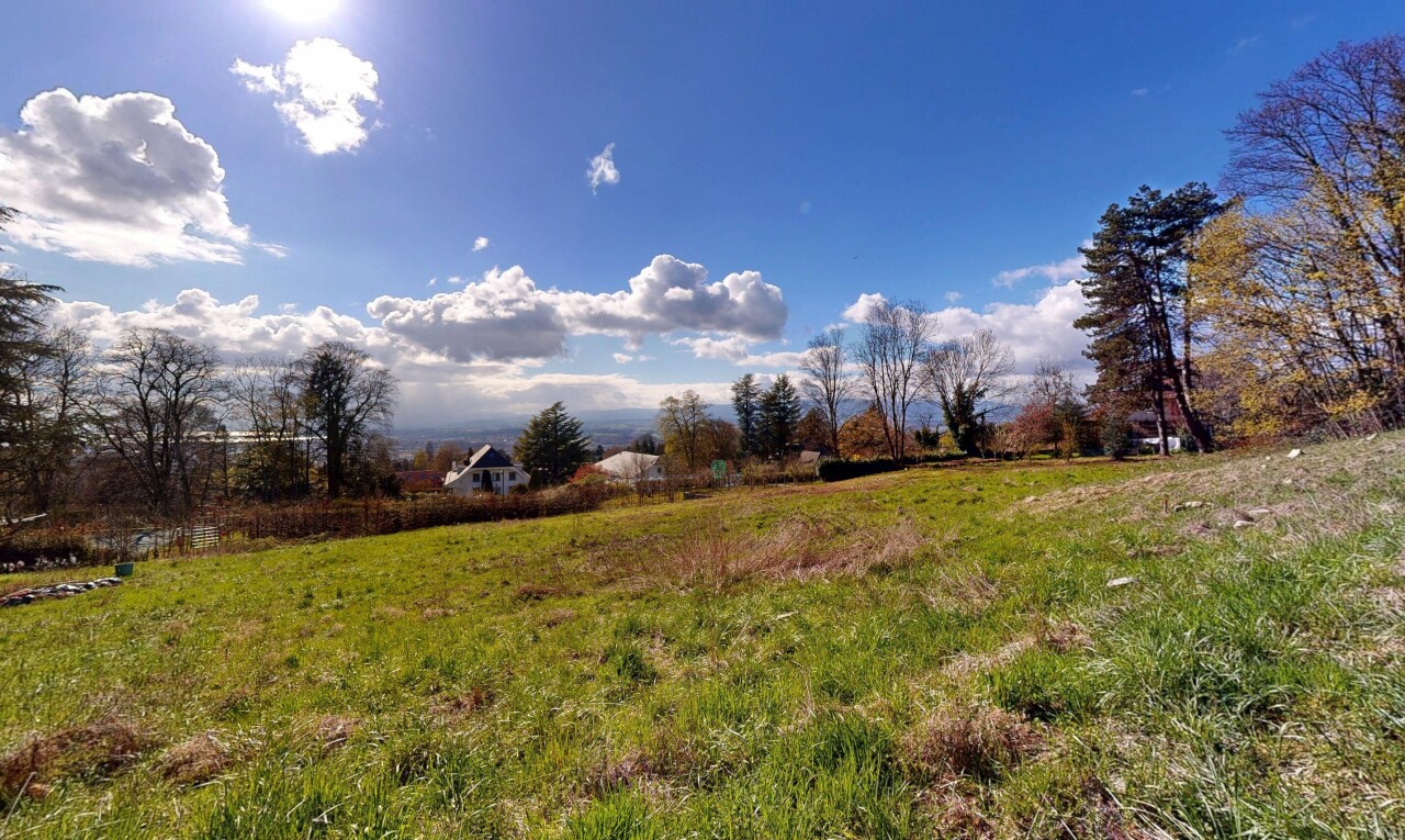 garden with a rural view