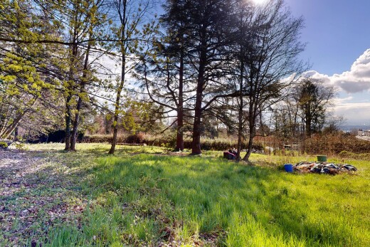 jardin avec day time