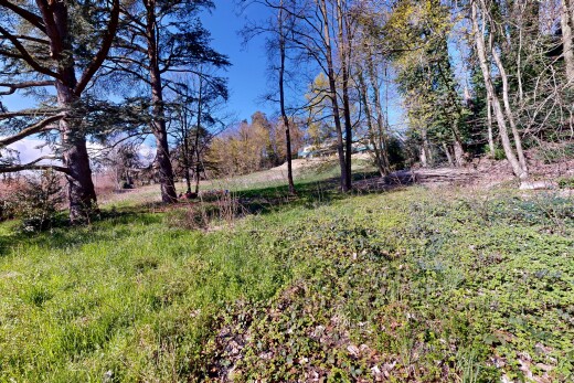 jardin avec day time