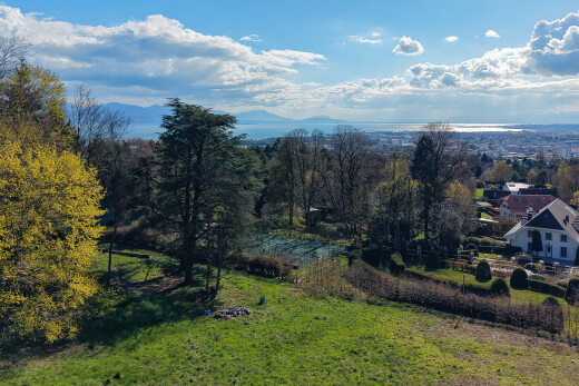 vue sur la montagne avec day time