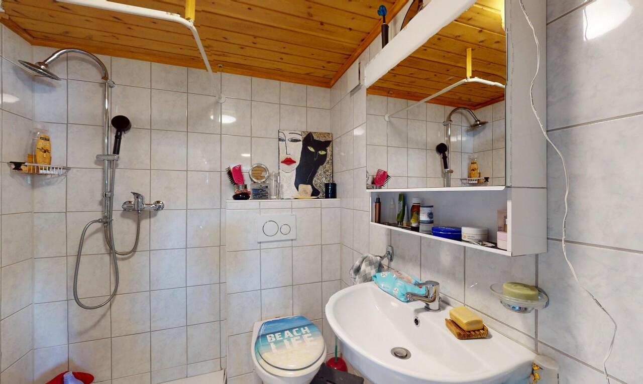 bad mit inside property, holzdecke, wood ceiling, waschbecken, und dusche
