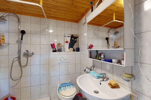 salle de bains avec inside property, plafond en bois, wood ceiling, évier, et douche