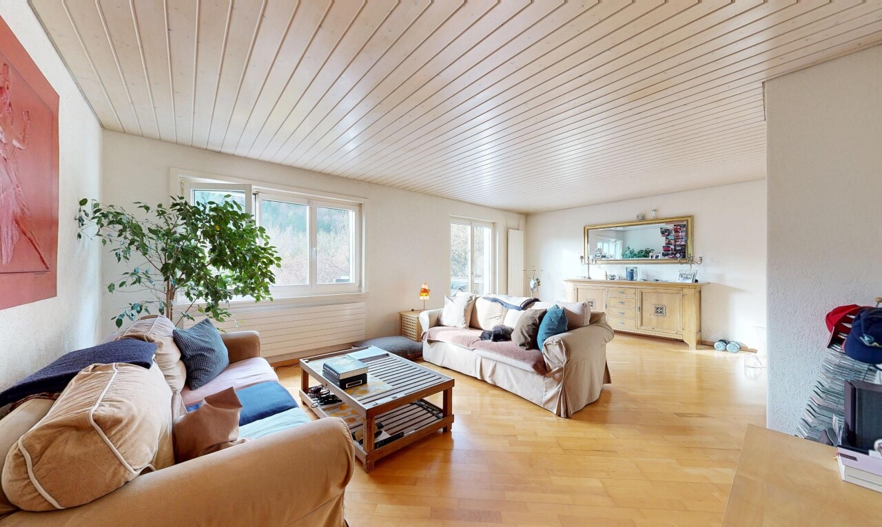 salon avec plafond en bois, wood ceiling, lumière naturelle, natural light, et inside property