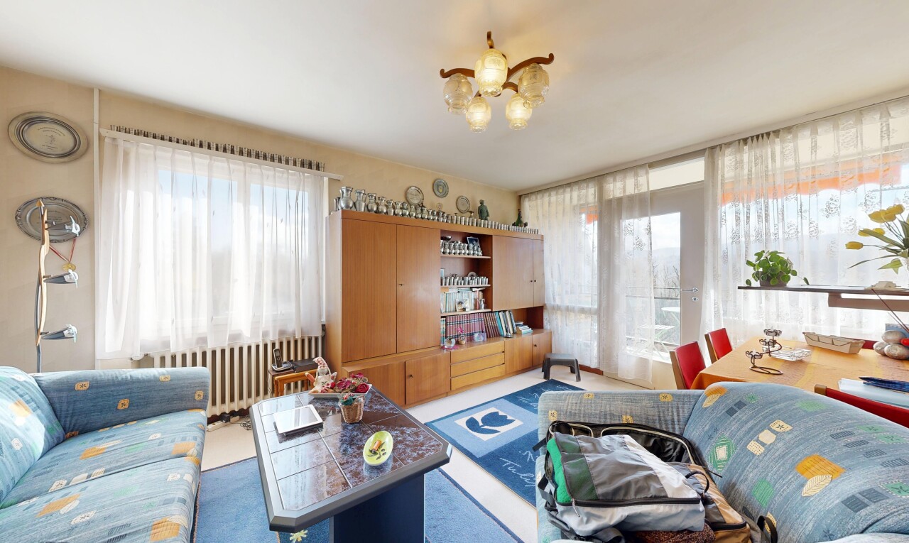 salon avec inside property, moquette, carpet, radiateur, et light floor