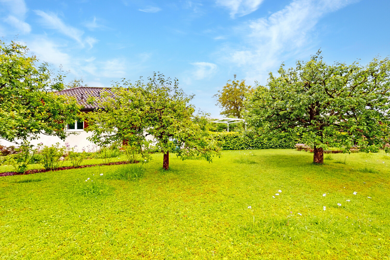 jardin avec day time, pelouse, et property visible