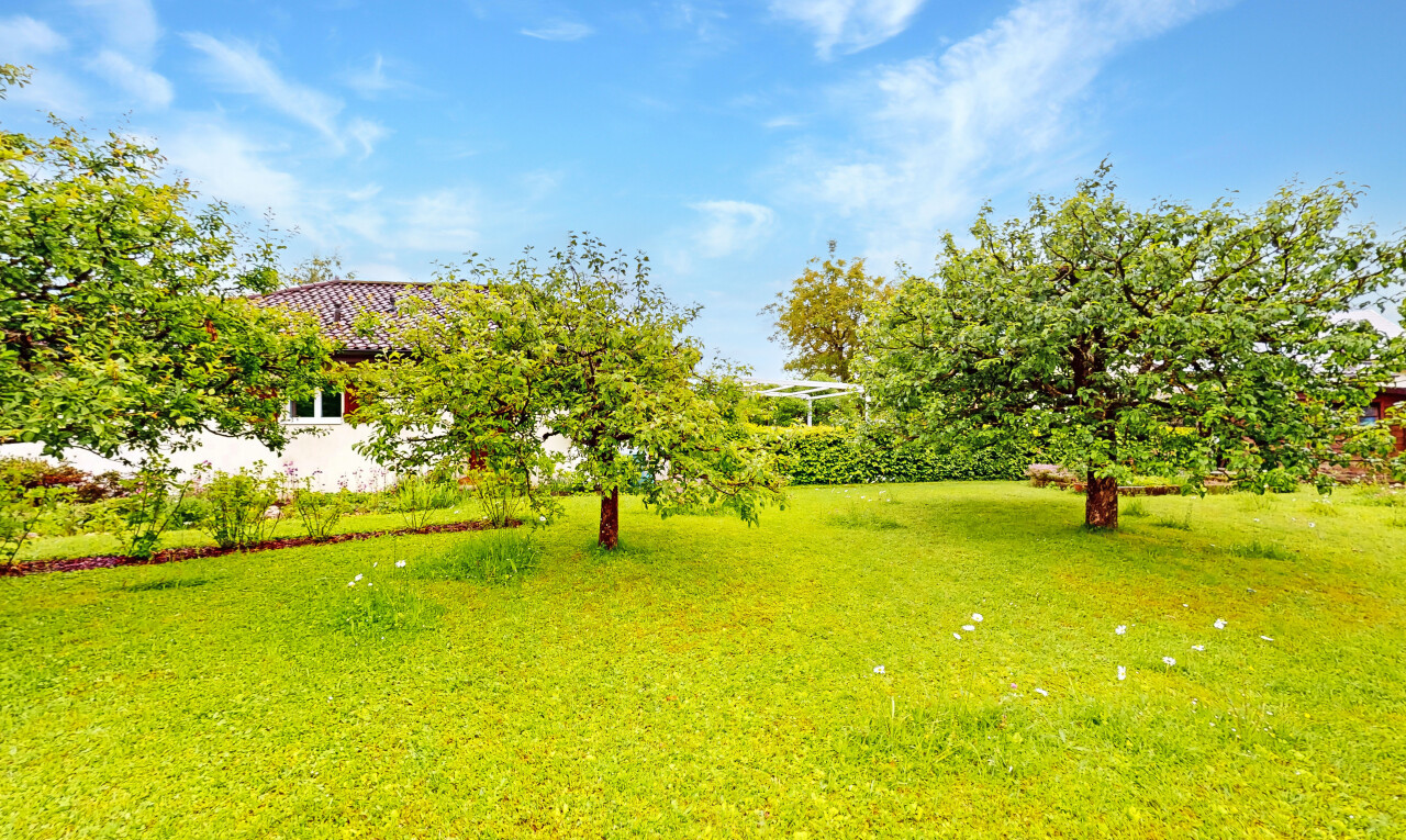 jardin avec day time, pelouse, et property visible