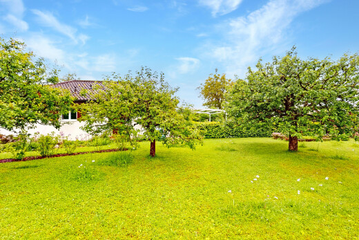 jardin avec day time, pelouse, et property visible