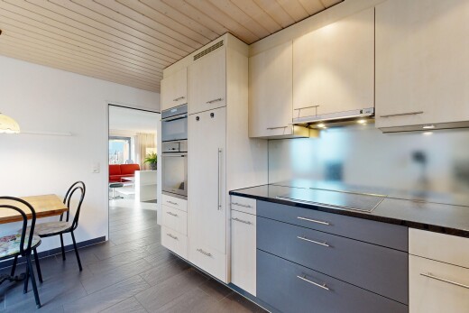 küche mit arbeitsplatten, inside property, wood ceiling, holzdecke, und dunstabzugshaube