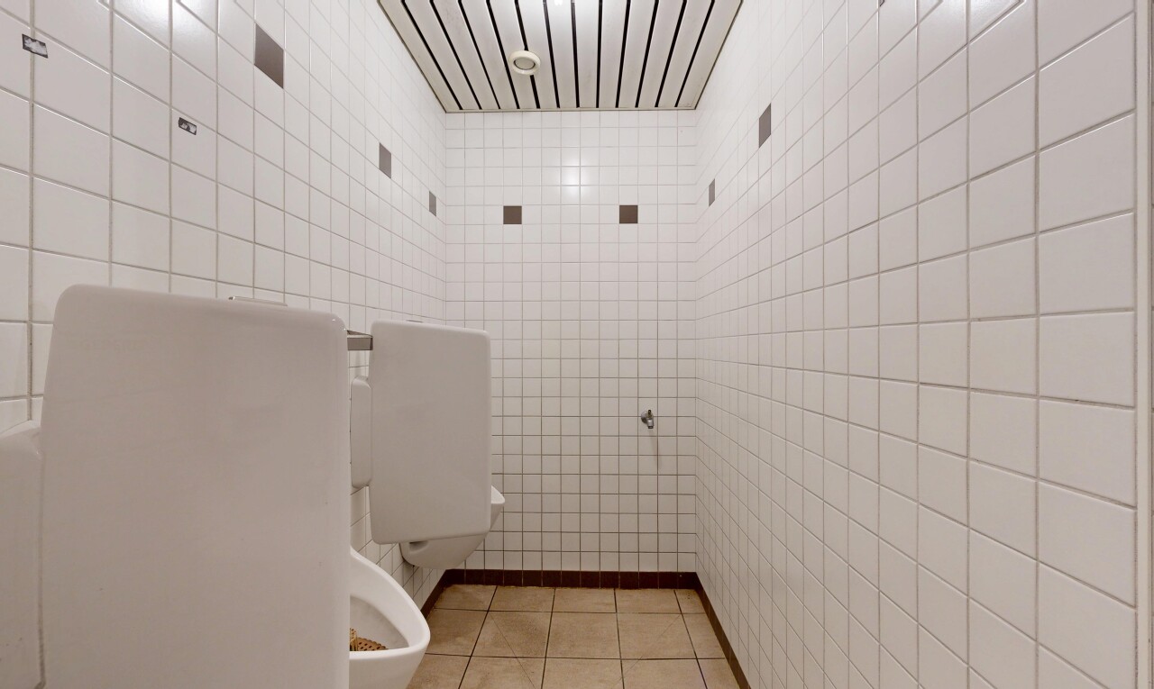 salle de bains avec tile wall, mur en carrelage, toilette, inside property, et sauna
