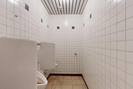 salle de bains avec tile wall, mur en carrelage, toilette, inside property, et sauna