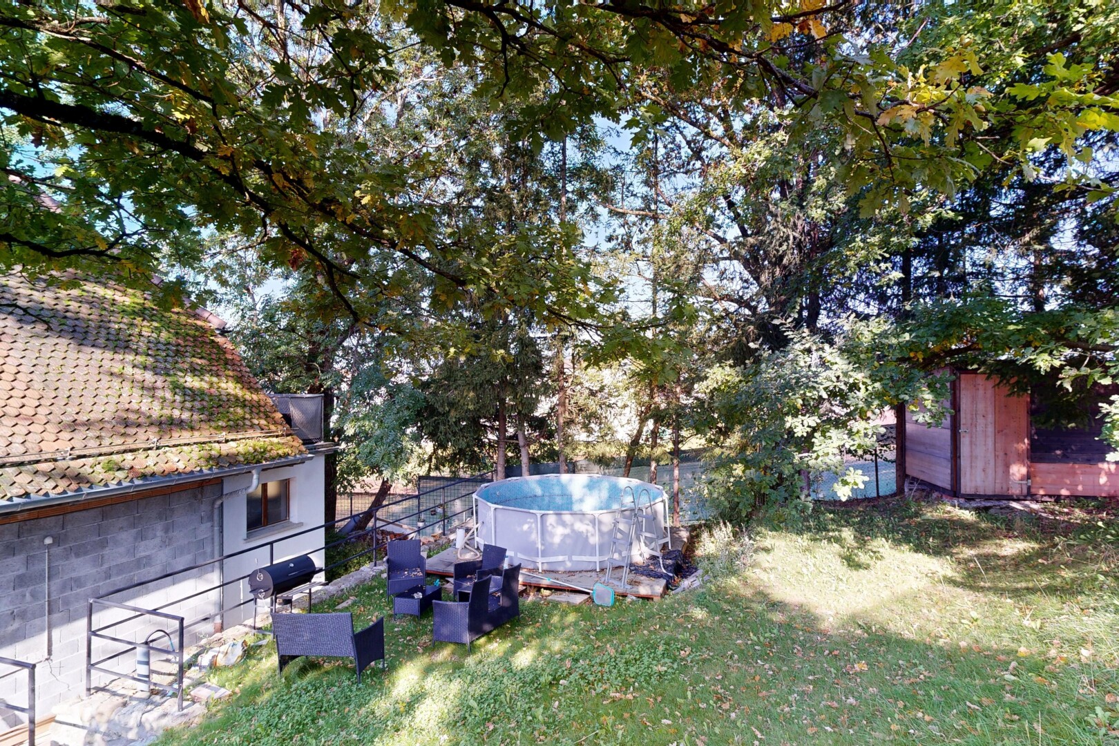 jardin avec piscine et pelouse