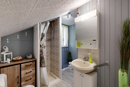 salle de bains avec lavabo (ou coiffeuse selon le contexte), low ceiling, plafond bas, douche, et salle de bain complète