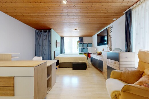 zimmer / schlafzimmer mit natürliches licht, natural light, holzdecke, wood ceiling, und holzfußboden