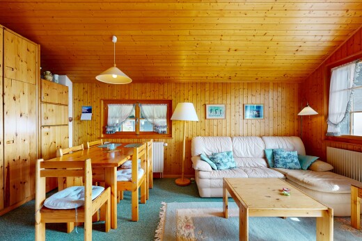 salon / salle à manger avec natural light, lumière naturelle, carpet, moquette, et inside property